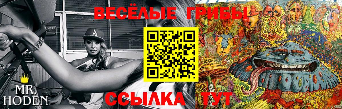 Галлюциногенные грибы мицелий Ишим
