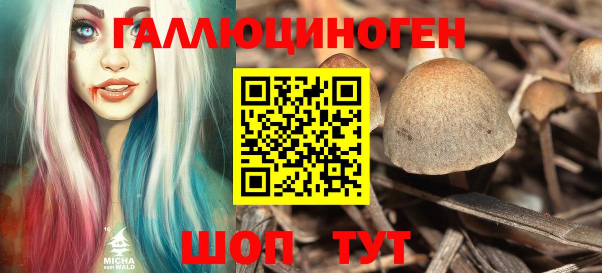 Псилоцибиновые грибы ЛСД  Вход с VPN  Псилоцибиновые грибы Magic Shrooms  купить наркотики цена  Ишим 
